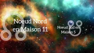 Noeud Nord en Maison 11 et  ou en Verseau  Astrologie [upl. by Esor]