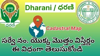 Cadastral Map in Dharani  Total area in survey no  How to find total Land In Survey Number [upl. by Aronal531]