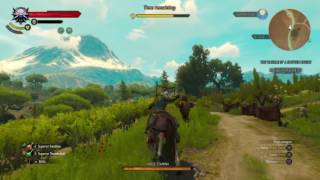 The Witcher 3 Wild Hunt  The warble of a Smitten Knight  Horse Race Victory \m [upl. by Kcirdes586]