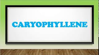 Terpenes Pronouncing Caryophyllene [upl. by Nuhsed387]