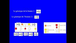 Exercice de génétique  Bac SVT concours de médecine  de recombinaison distance génétique [upl. by Ainiger384]