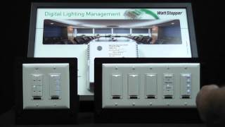 Wattstopper How to Setup a room with multiple dimmers using the LMCT100 [upl. by Emersen]