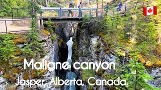 Maligne canyon attraction in jasper jasper national park attraction in Alberta jasper Alberta [upl. by Artenehs]