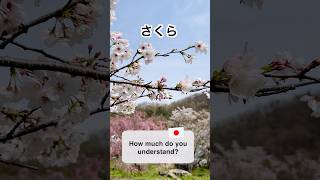 Cherry Blossoms in Japan 1Minute Japanese Listening Practice [upl. by Sergio]