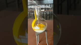 Lead nitrate reaction with kl chemistry ytshorts viralvideo trending organicchemistry [upl. by Randy72]