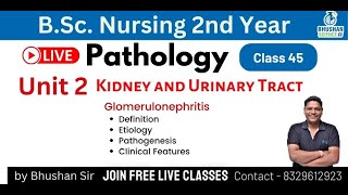 Class 45  Glomerulonephritis  Pathology and Genetics  BSc Nursing 2nd year [upl. by Juline]