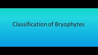 Classification of Bryophytes  For BSc and MSc [upl. by Elleoj59]