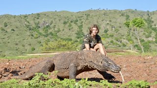 Surviving 24 Hours on KOMODO ISLAND Challenge Komodo Dragon [upl. by Wilek]