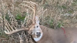 2023 Opening day of KY rifle Big Buck Down Kentucky Deer Hunting [upl. by Hada52]