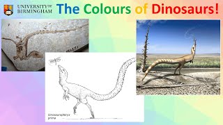 The Colours of Dinosaurs [upl. by Ynetruoc]