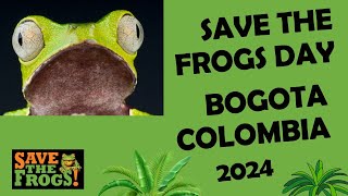 Save The Frogs Day 2024 Interview at Universidad de los Andes in Bogota Colombia [upl. by Twelve]