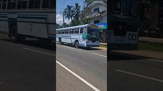 Political bus 🚌 1st May 2024 Sri Lanka 🇱🇰 bus srilanka buses [upl. by Crista]