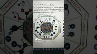 Adsorption mechanism shorts [upl. by Atinel482]