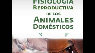 Fisiología Reproductiva de los Animales Domésticos [upl. by Kcim496]