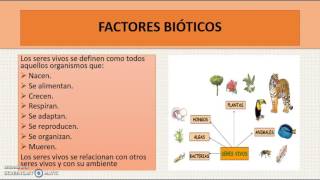 COMPONENTES DE LOS ECOSISTEMAS [upl. by Nomrac944]