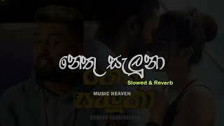 Romesh Sugathapala  Nethu Saluna Revisited නෙතු සැලුනා  Slowed  Reverb [upl. by Clough]