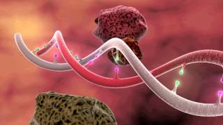 DNA Mutation 3D Animation [upl. by Buckingham577]