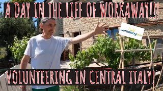 Workaway  Volunteering in central Italy [upl. by Erda]