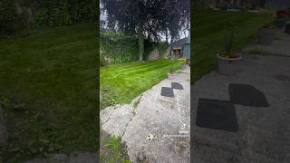 From a patchy and mossy lawn to a long lush moss free lawn lawn gardenbeforeandafter irelandgg [upl. by Niknar]