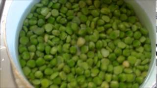 Making Mushy Peas [upl. by Derrik]