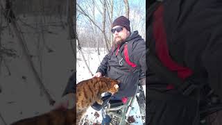 Hot Diggity it with my cat on my ebike [upl. by Tiossem]