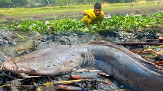 Amazing Hand Fishing Best Catching Many Catfish In Mud Water By Hand Traditional Fishing Video [upl. by Carleton]