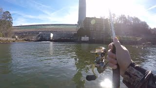 Winter Trout Fishing the Toccoa River Blue Ridge GA [upl. by Galan544]