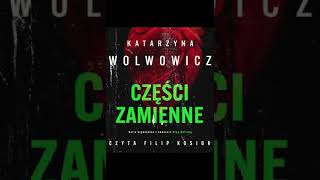 KSIĄŻKA Kryminały po Polsku AudioBook PL 10🎧 [upl. by Eniahpets]