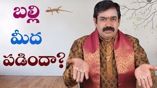 బల్లి మీద పడిందా   chirravuri [upl. by Traci]