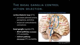 PT 536  Neurodegenerative Disorders of the Basal Ganglia [upl. by Drida139]