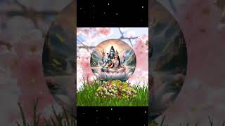 lord shiva song telugu shorts shiv shiva Radhakrishnaconscious ytshorts shortsfeed [upl. by Eidnalem]