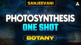 PHOTOSYNTHESIS CLASS 11 ONE SHOT  NEET 2024  ALL CONCEPT AND TRICKS  BOTANY BY SANKALP BHARAT [upl. by Aicilas]