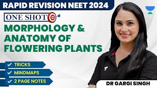 Morphology amp Anatomy Of Plants With Tricks  One Shot  NEET 2024  Dr Gargi Singh [upl. by Yelekalb731]