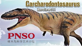 2021 PNSO Carcharodontosaurus Review [upl. by Putscher]