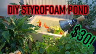 STYROFOAM BOX POND  Setup Tutorial  cheap DIY pond [upl. by Valleau612]