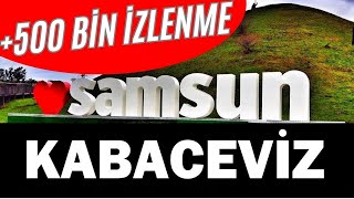 Samsun Kabaceviz Halay  Oyun Havası [upl. by Anair]