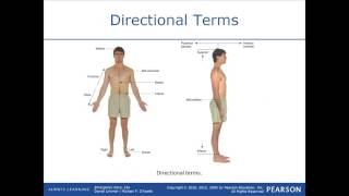 Medical Terminology for the EMT [upl. by Pump]