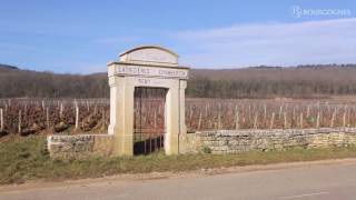 Côte de Nuits  les appellations décryptées par JeanPierre Renard [upl. by Nonnag]