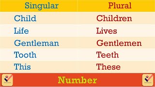 Singular  Plural  215 Important Words  Number  Vocabulary  Nouns  Pronouns  English Grammar [upl. by Kerwon461]