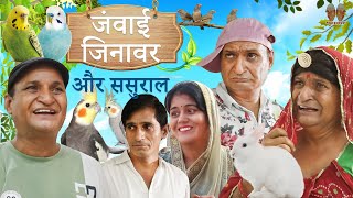 जानवर जंवाई और ससुराल janwar janwai aur sasural  Rajasthani Haryanvi comedy  murari lal comedy [upl. by Roath]