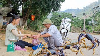 The sadness of a pregnant mother living alone in the forest catching crabs to sell at the market [upl. by Dnalyram842]