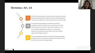 Insolvencia En Colombia Ley 1116 de 2006  ITGS [upl. by Cheung]