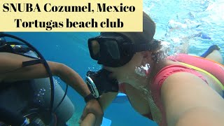 Tortugas beach club Cozumel SNUBA diving Cozumel Mexico [upl. by Berky]