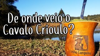 Como Surgiu o Cavalo Crioulo  Linha Campeira 28 [upl. by Barthold]