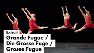 Grande Fugue  Die Grosse Fuge  Grosse Fugue  Extraits du spectacle [upl. by Savadove]