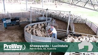 ProWay Sheepyards  Lucindale South Australia [upl. by Luann]