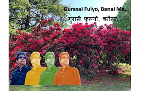 Guransai Phulyo  1974 AD  गुरासै फुल्यो  1974 AD [upl. by Iuq]