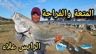 خيرات مون شليحات صيد سمك القرب أو الدبدوب courbine للرايس علاء🐟🐠🎣🎣 [upl. by Stanleigh]