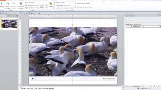 PowerPoint 2010  Options de lecture dun fichier vidéo [upl. by Hebbe364]