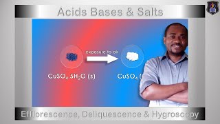 Acids Bases and Salts  Efflorescence Deliquescence amp Hygroscopy  Chemistry Tutorial [upl. by Noletta907]